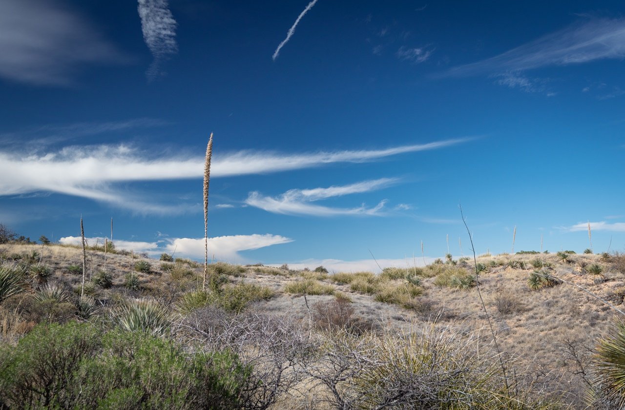 Landscape in Oracle State Park