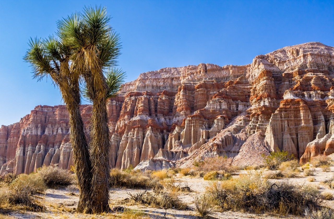 Red Rock State Park in Arizona