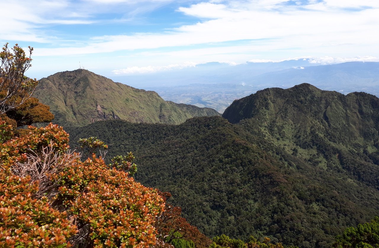 View from the summit of Mount Dulang-Dulang