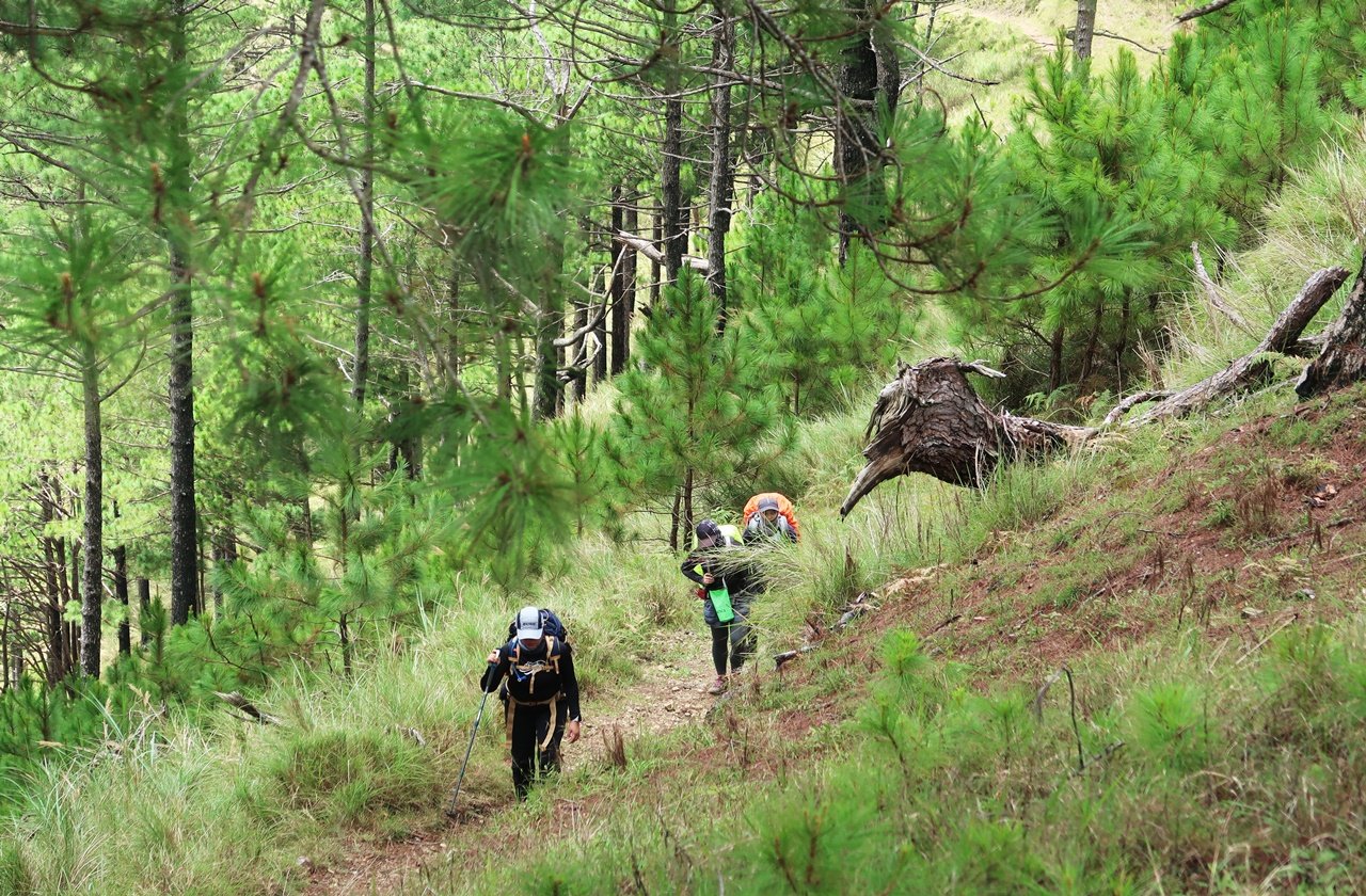 Hikers at Mount Ugo, Philippines