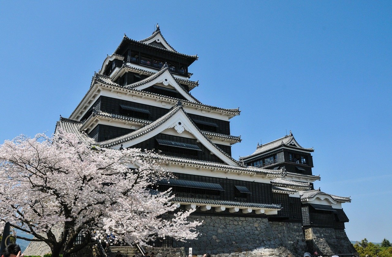 Kumamoto Castle's black exterior in contrast to the pink cherry blossom trees