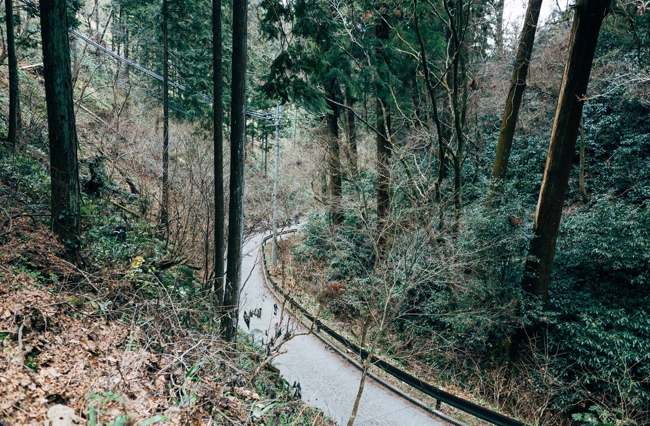 Concrete trail on Mount Takao