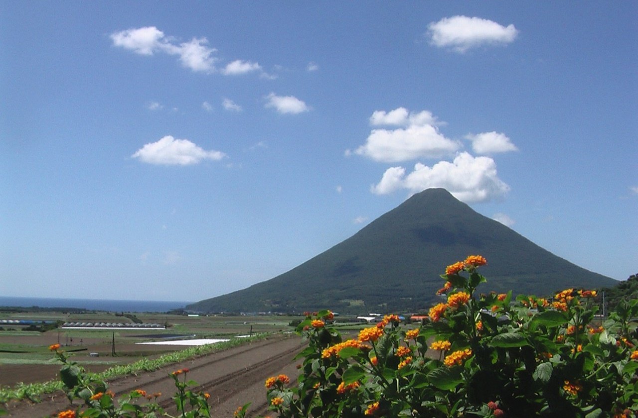 View of Mount Kaimon from the fields in August