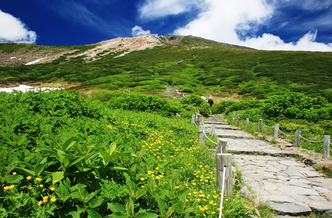 Lush greenery along the trails of Mount Haku