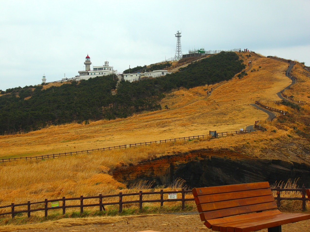 Visit Udo Island, one of the best things to do in Jeju