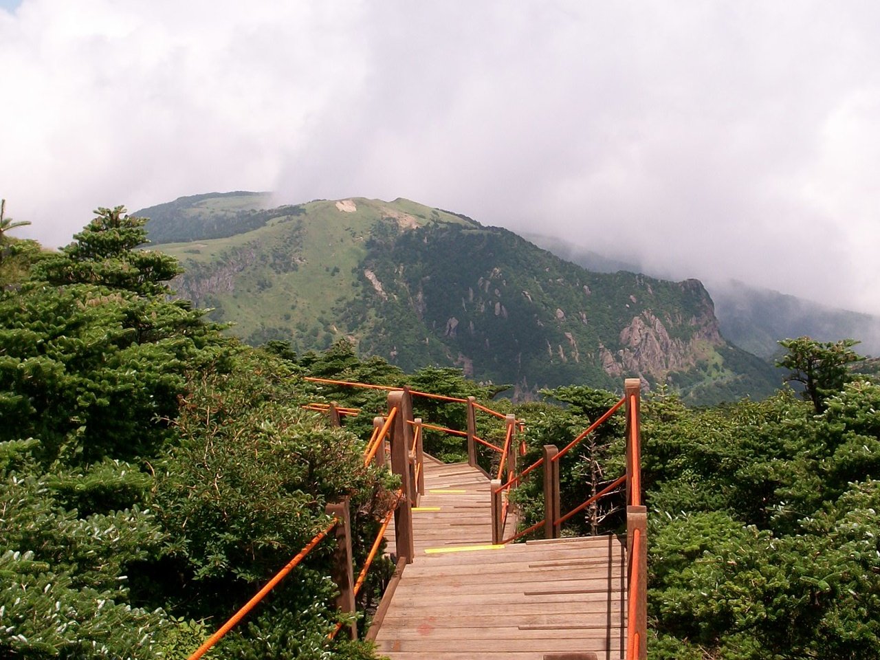 Wooden steps with markers on Mt. Halla Trail