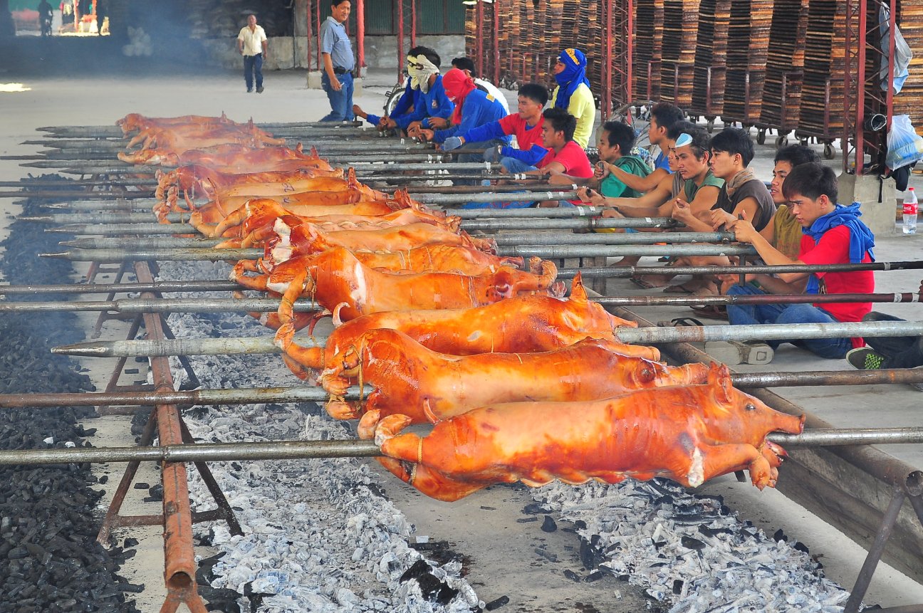 Lechon (roasted pigs) cooking at a factory/warehouse