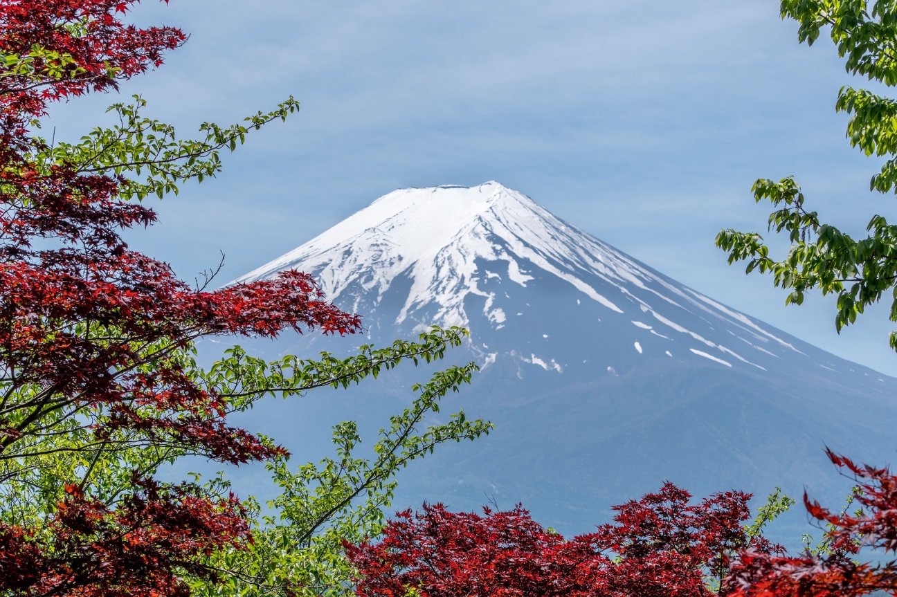 View of Mount Fuji in autumn