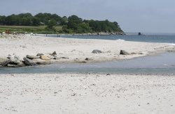 Shore of Sachuest Beach in Middletown
