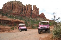 Pink jeeps with a tall rock formation in the background