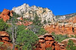 Oak Creek Canyon in Sedona, Arizona