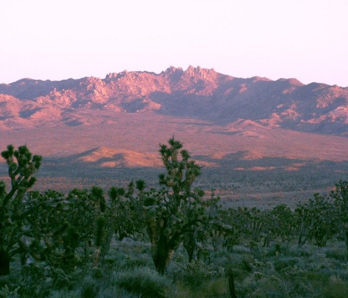 Mojave National Preserve