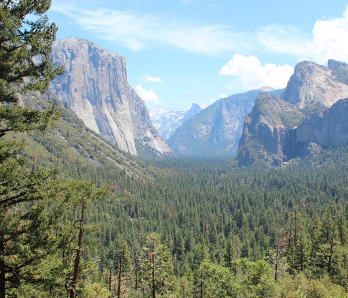 Yosemite National Park