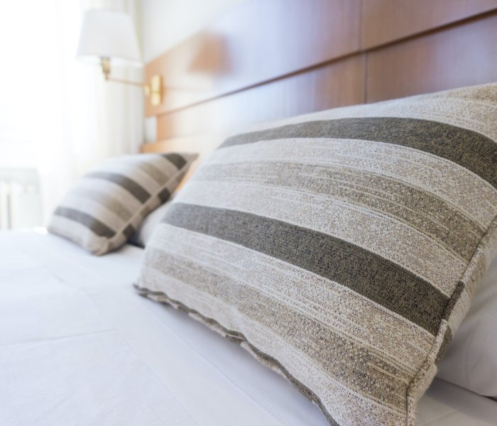 Best bed bug sprays Best bed bug sprays