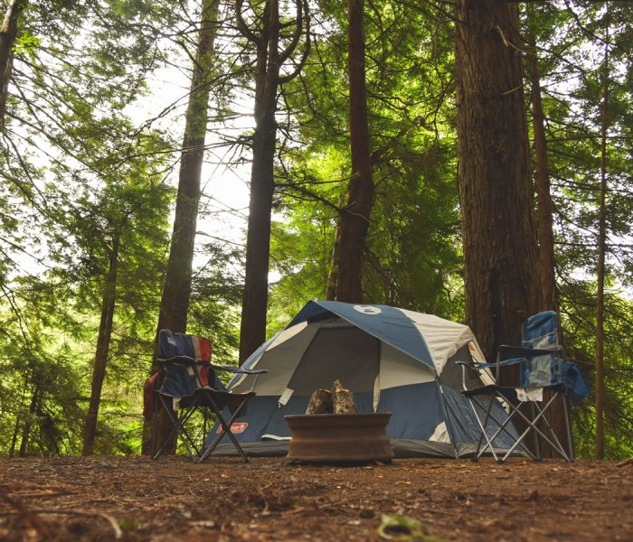 Redwood National Park