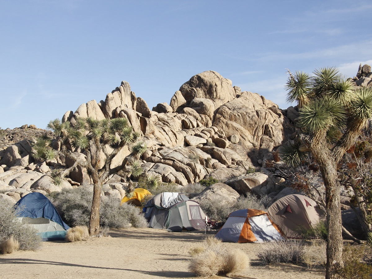 Joshua Tree Park Ranger Station - News Current Station In The Word