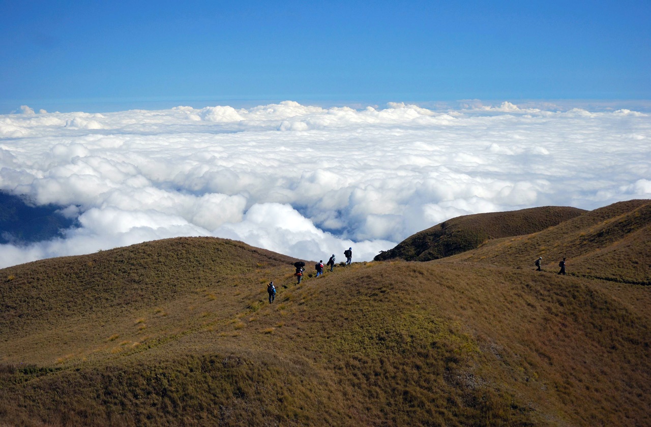 Mount Pulag Sea of clouds in Mount Pulag